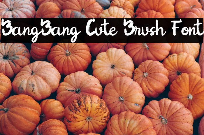 BangBang Cute Brush Font Example 3