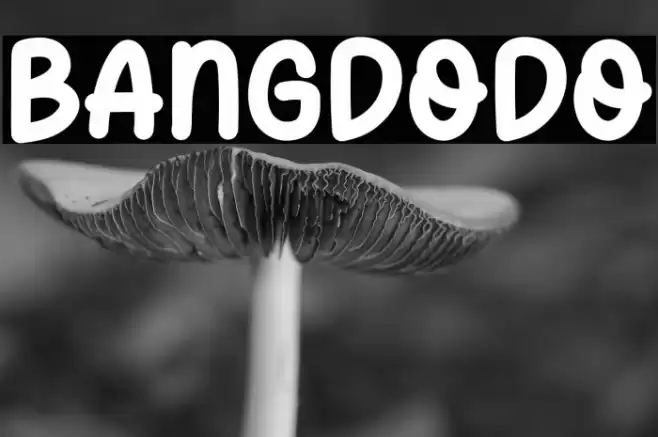 Bangdodo Font examples
