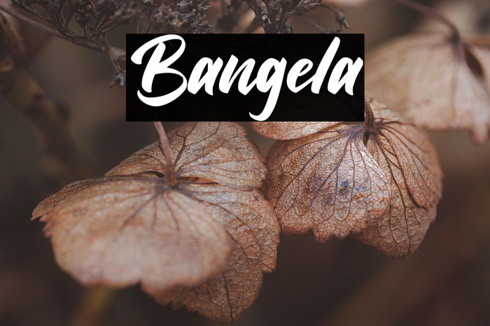 Bangela Example 1