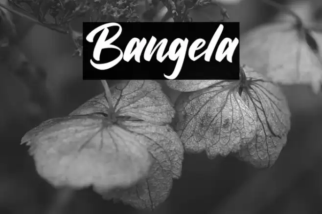 Bangela Font examples