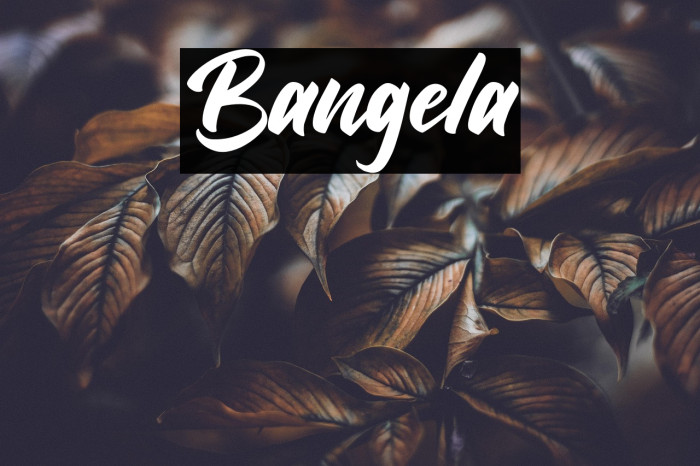 Bangela Example 2