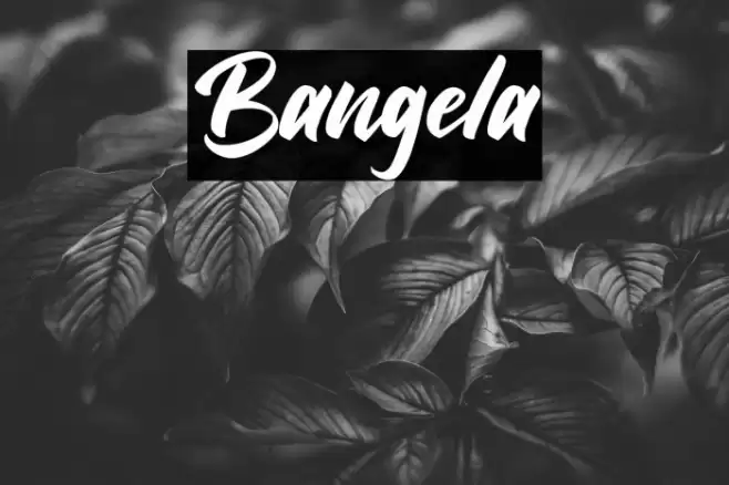 Bangela Font examples