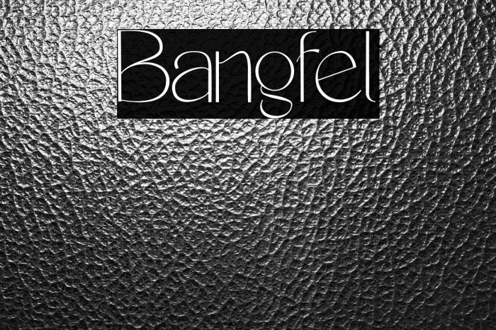 Bangfel Example 1