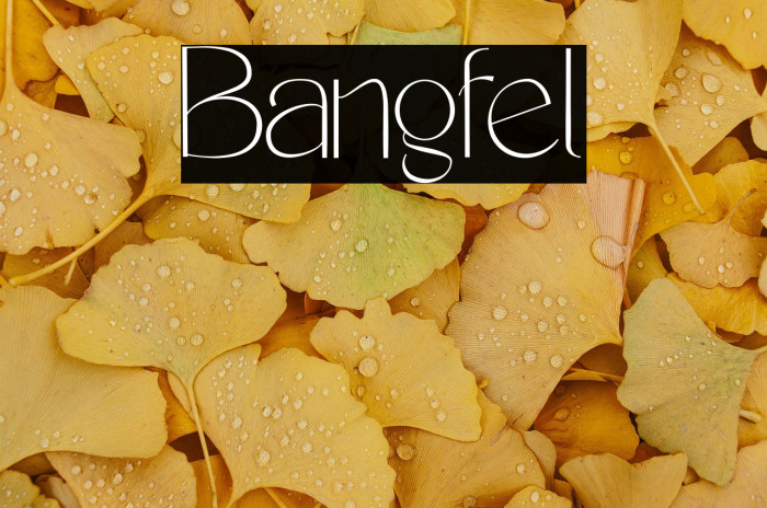 Bangfel Example 3