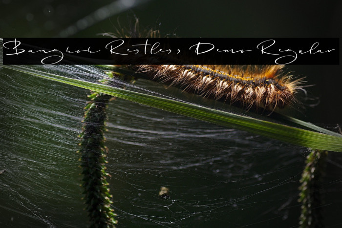 Bangkok Restless Demo Regular Example 2