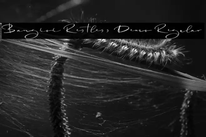 Bangkok Restless Demo Regular Font examples