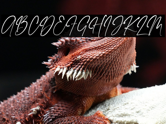 Bangli Kintamani Signature Example 1