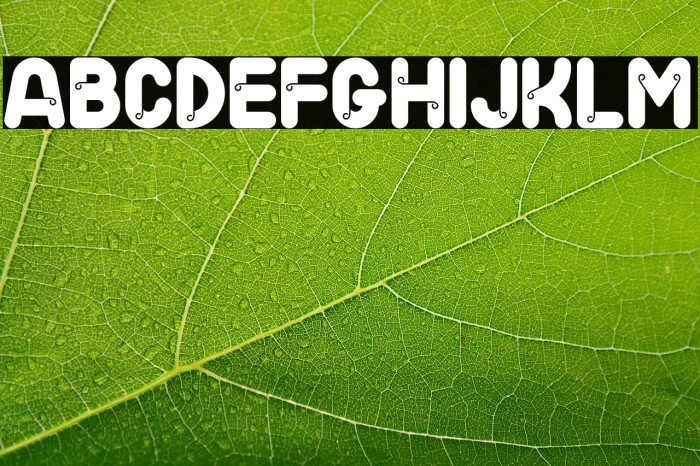 Bangoo PERSONAL USE ONLY! 字体 examples