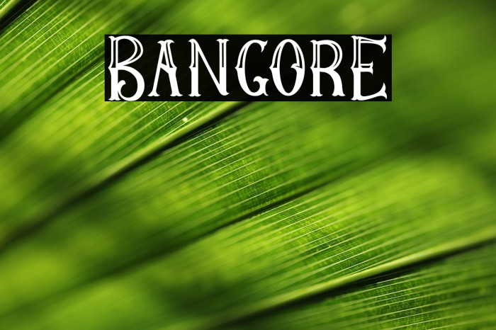 BangorE Example 1