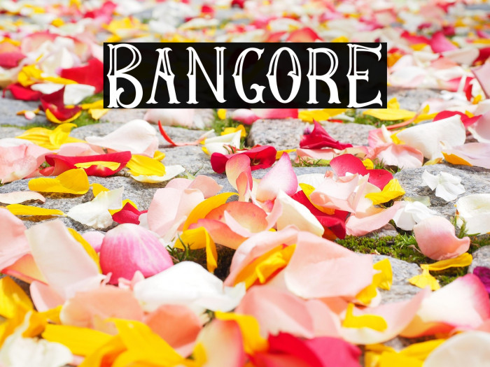 BangorE Example 2