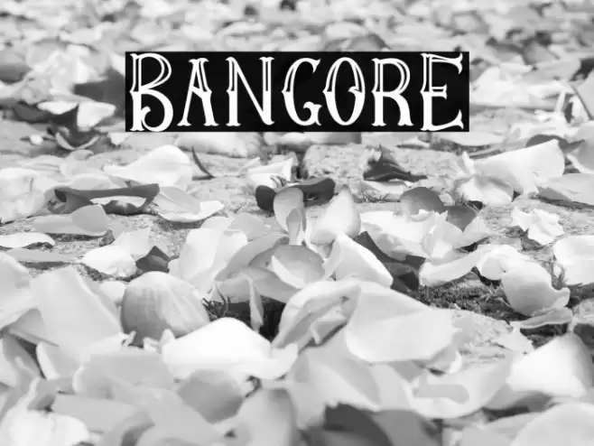 BangorE Font examples