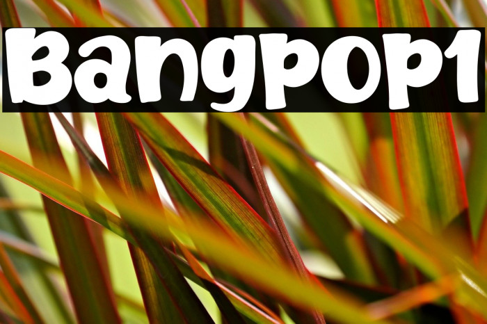 Bangpop1 Example 1