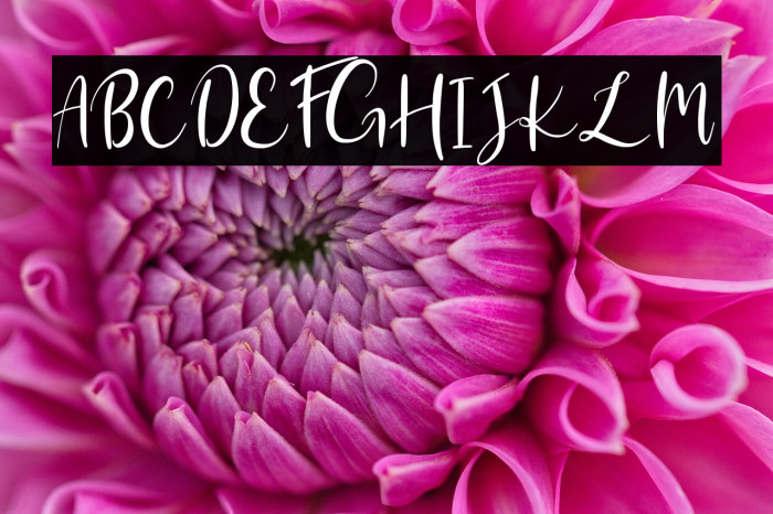 Banitta Script Example 2