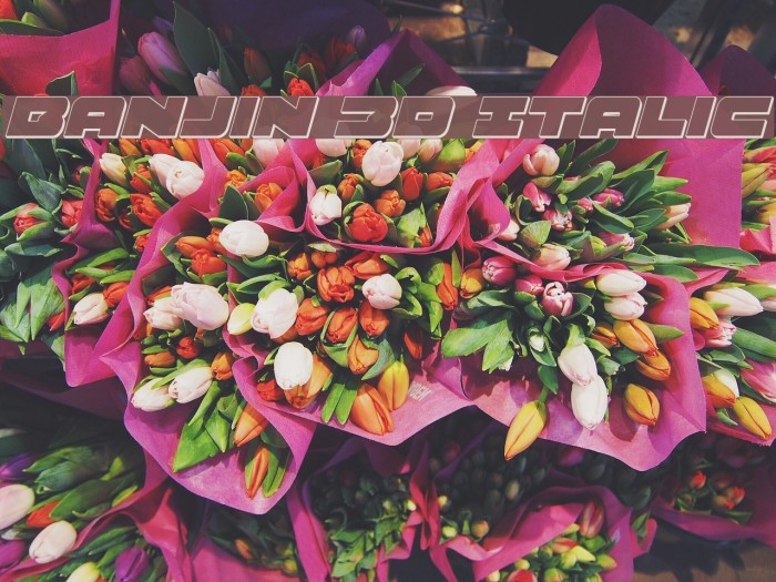 Banjin 3D Italic Font examples