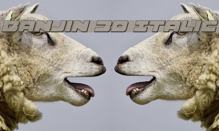 Banjin 3D Italic Font examples