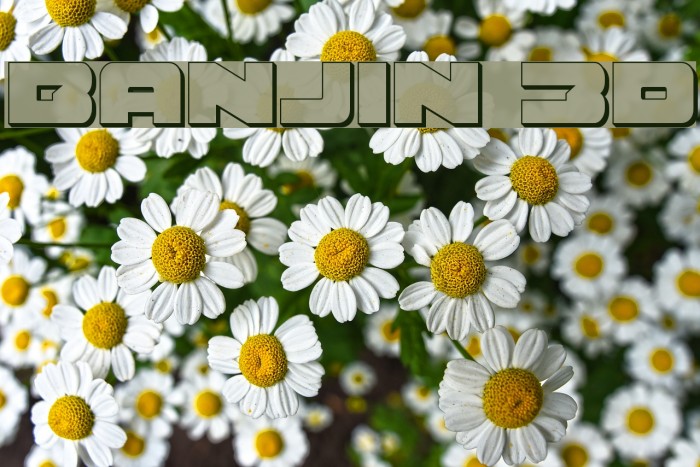 Banjin 3D Font examples