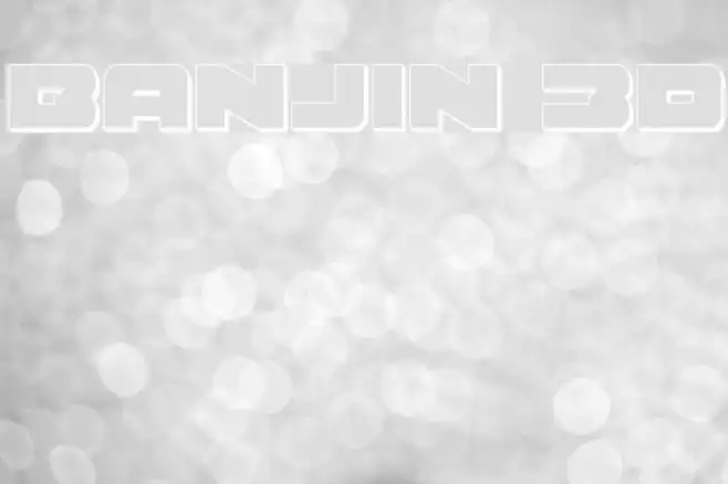 Banjin 3D Example 3