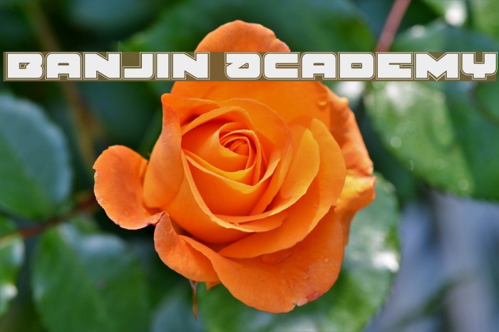 Banjin Academy Font examples