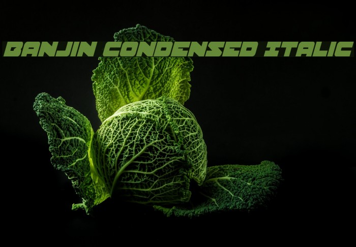 Banjin Condensed Italic Font examples