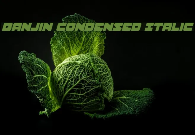 Banjin Condensed Italic Example 3