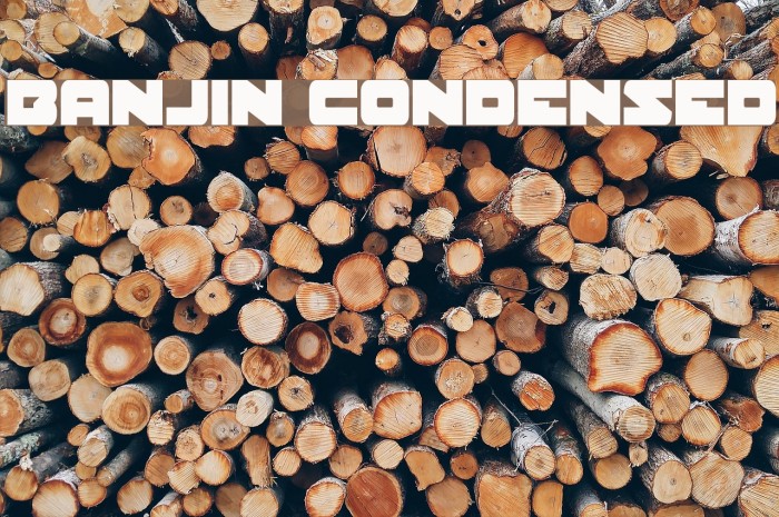 Banjin Condensed Font examples