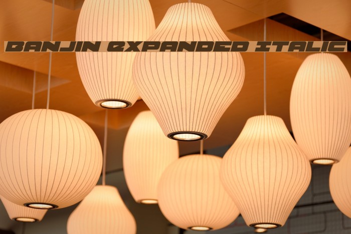 Banjin Expanded Italic Example 1