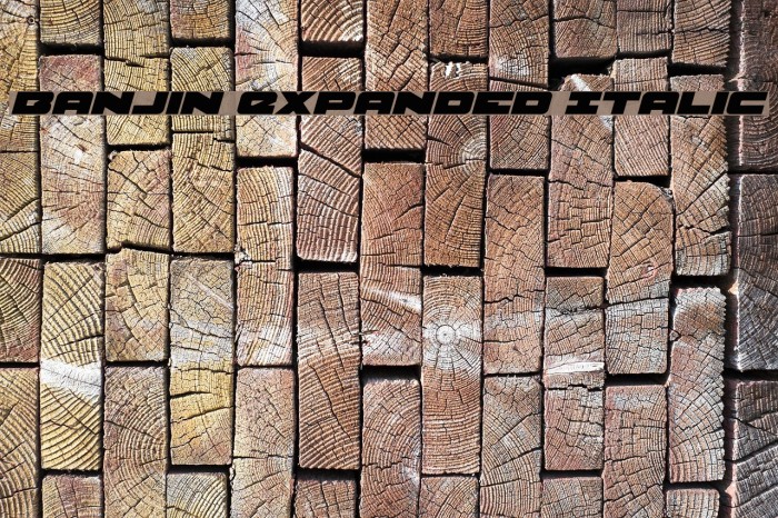 Banjin Expanded Italic Example 2