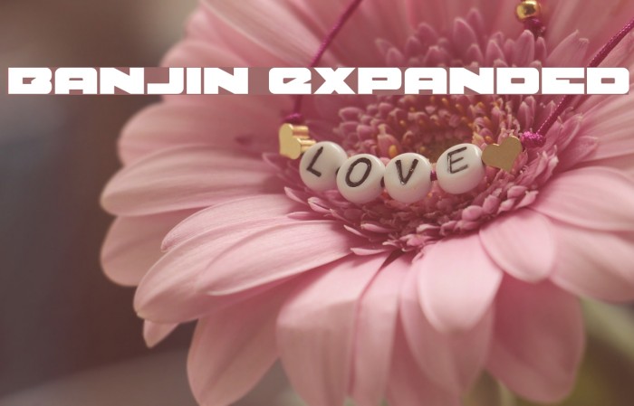 Banjin Expanded Font examples