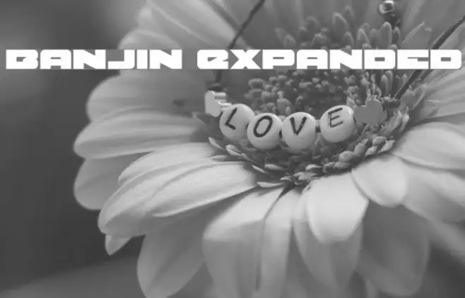 Banjin Expanded Example 2