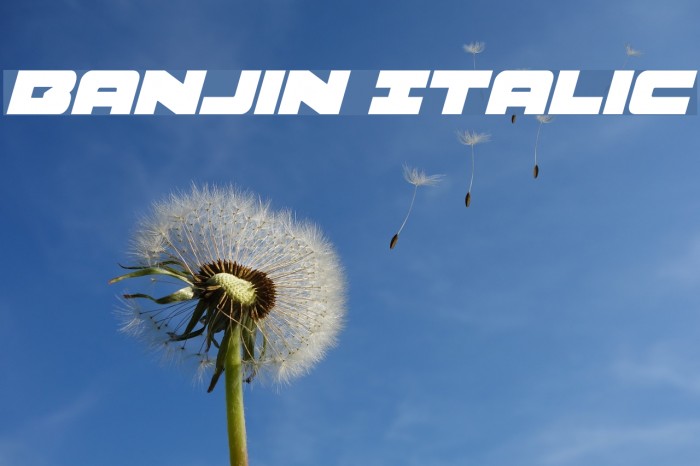 Banjin Italic Example 2