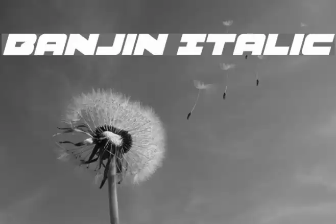 Banjin Italic Font examples