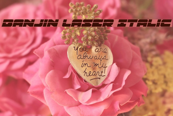 Banjin Laser Italic Example 3