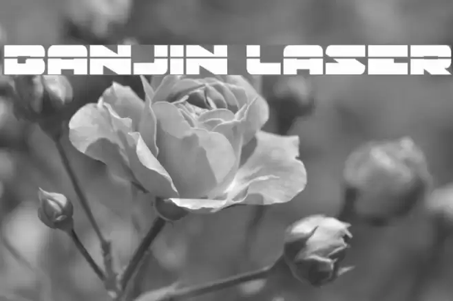Banjin Laser Font examples