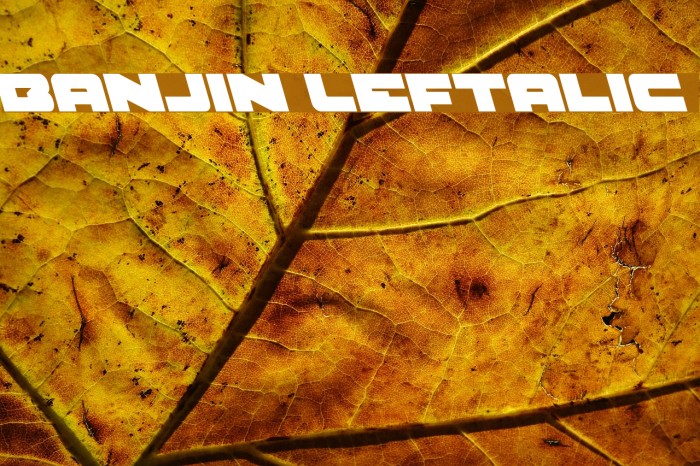 Banjin Leftalic Font examples