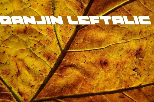 Banjin Leftalic Example 3