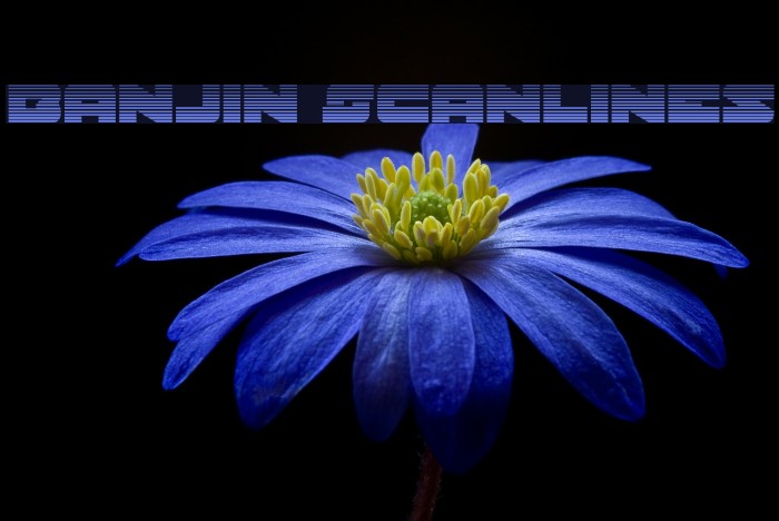 Banjin Scanlines Font examples