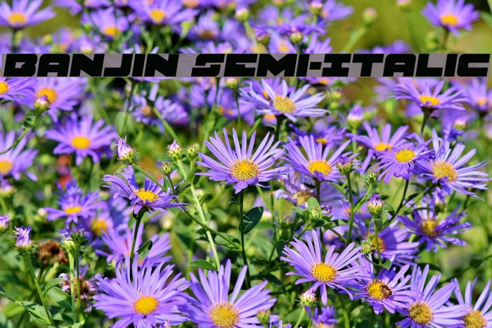 Banjin Semi-Italic Example 3
