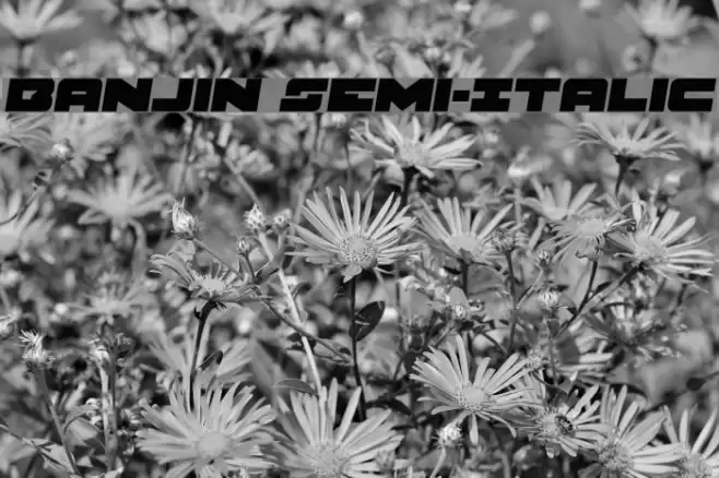 Banjin Semi-Italic Font examples