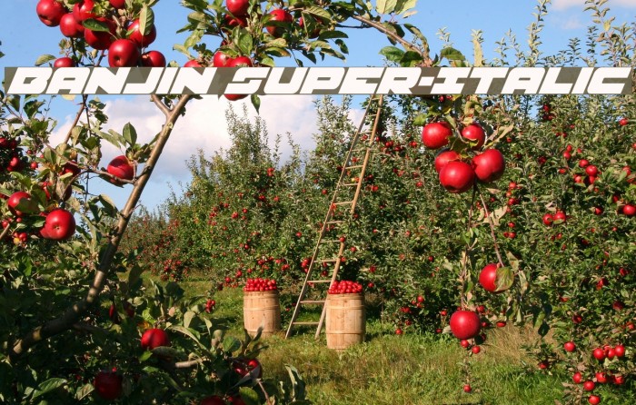 Banjin Super-Italic Font examples