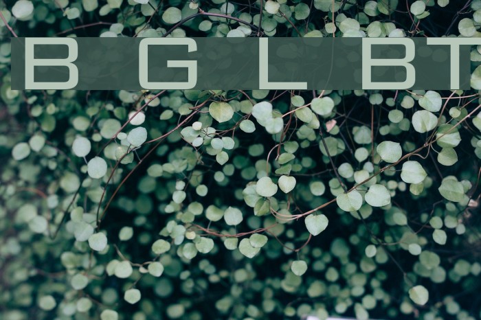 Bank Gothic Light BT Example 3