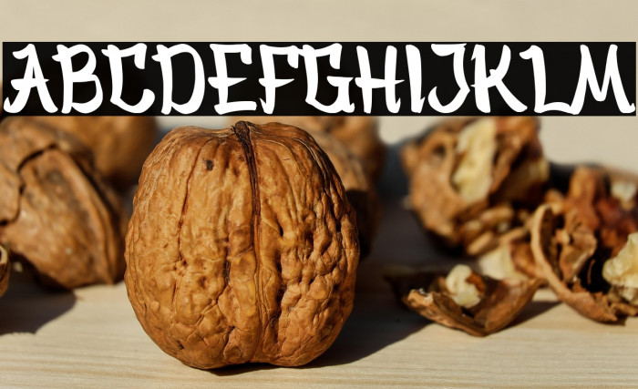 Bankai Demo Version Example 1