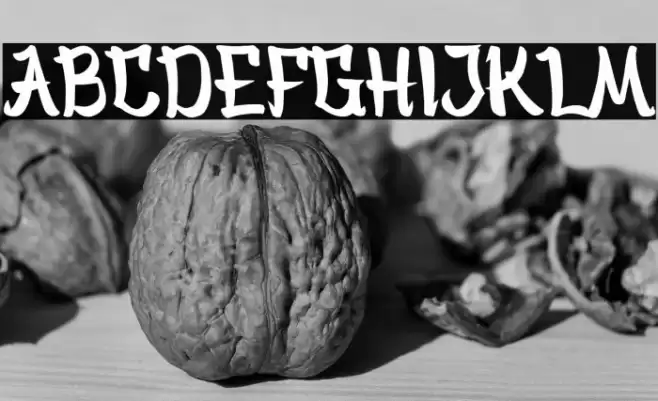 Bankai Demo Version Font examples