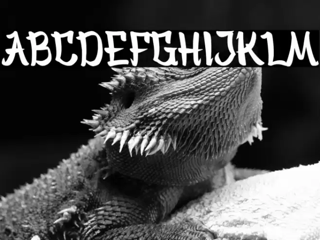 Bankai Demo Version Font examples