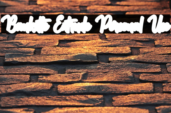 Bankitte Extrude Personal Use Example 1