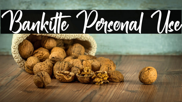 Bankitte Personal Use Example 1