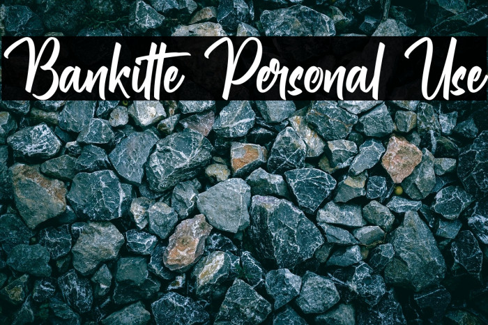 Bankitte Personal Use Example 3