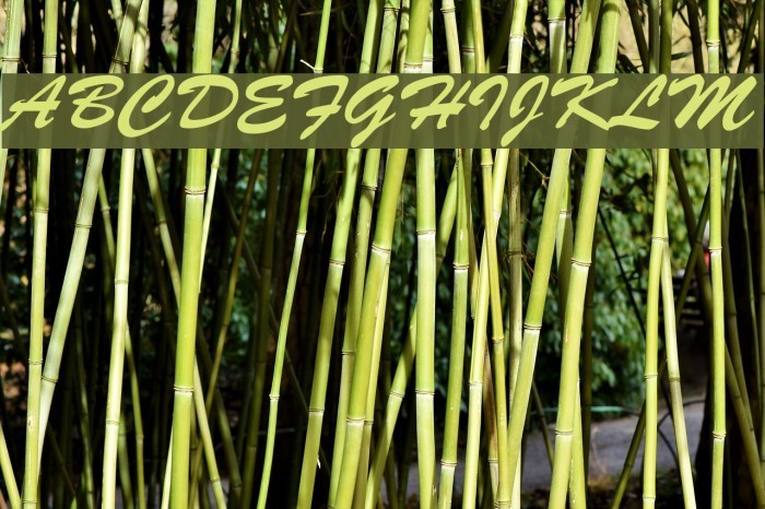 Bankoli Bold Font examples