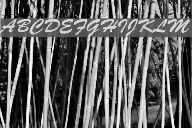 Bankoli Bold Font examples