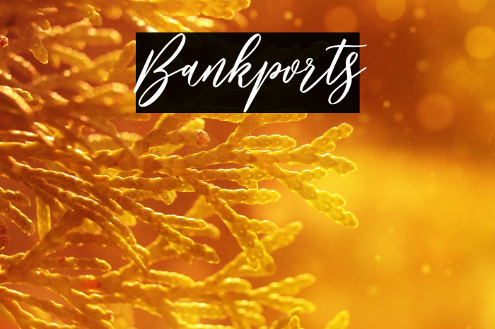 Bankports Example 1