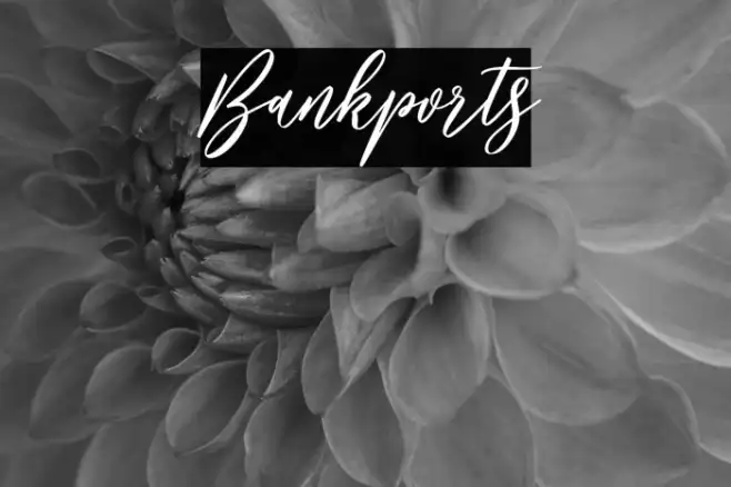 Bankports Example 3